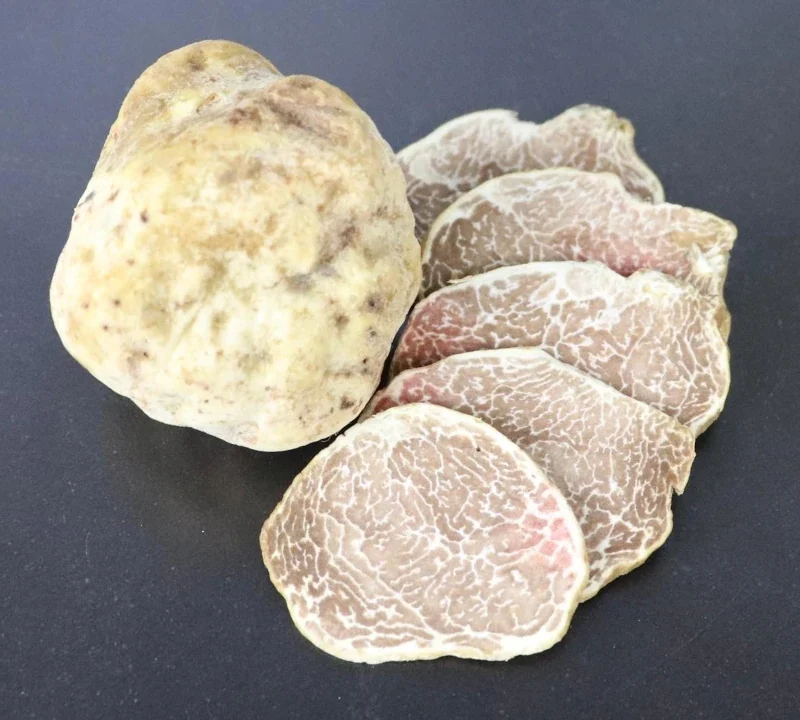 White Alba Truffles