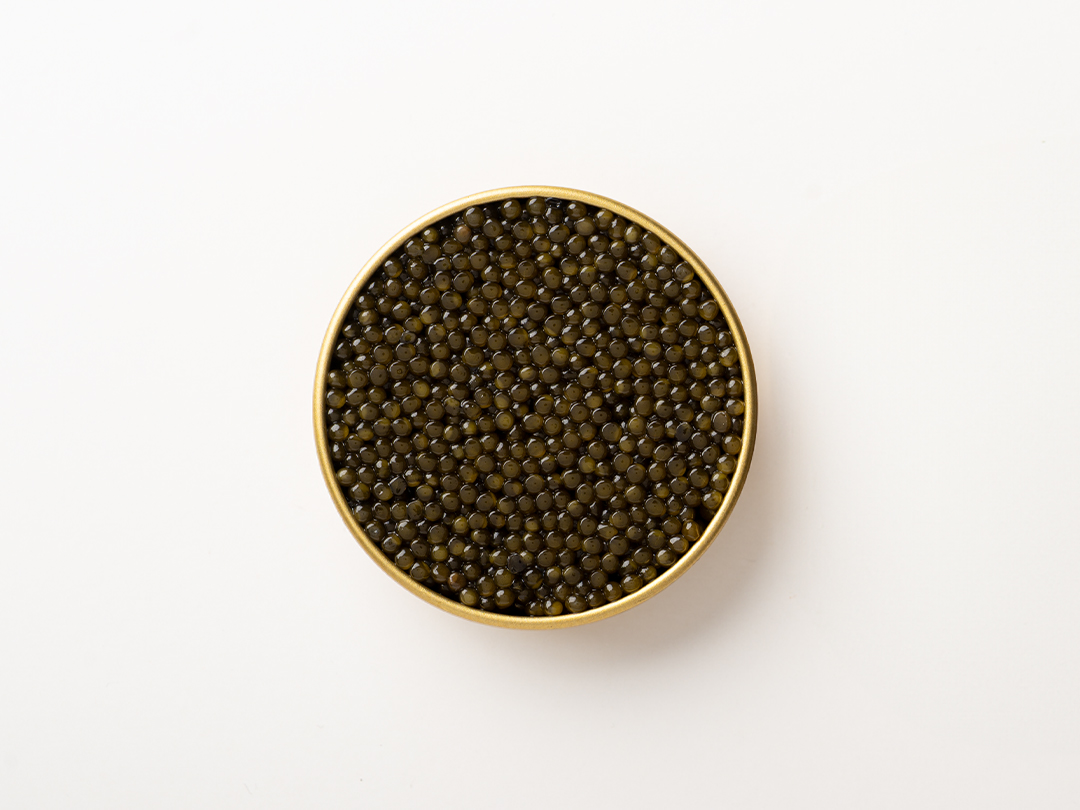 Classic Amur Ossetra Caviar - 50g - Image 3