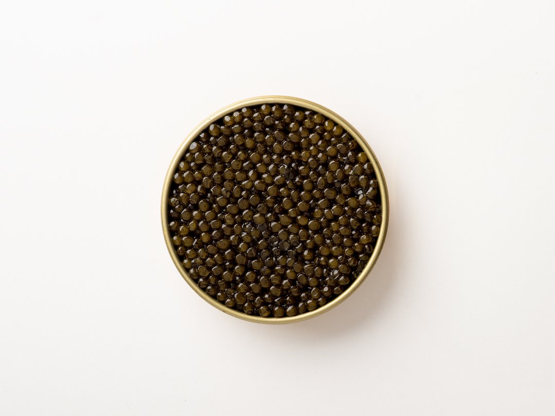 Golden Amur Kaluga Caviar(50gr) - Image 3