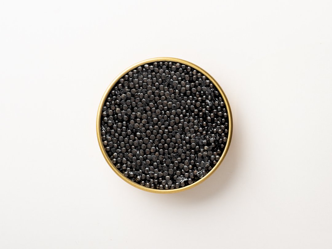 Caspian Siberian Caviar - 50g - Image 3