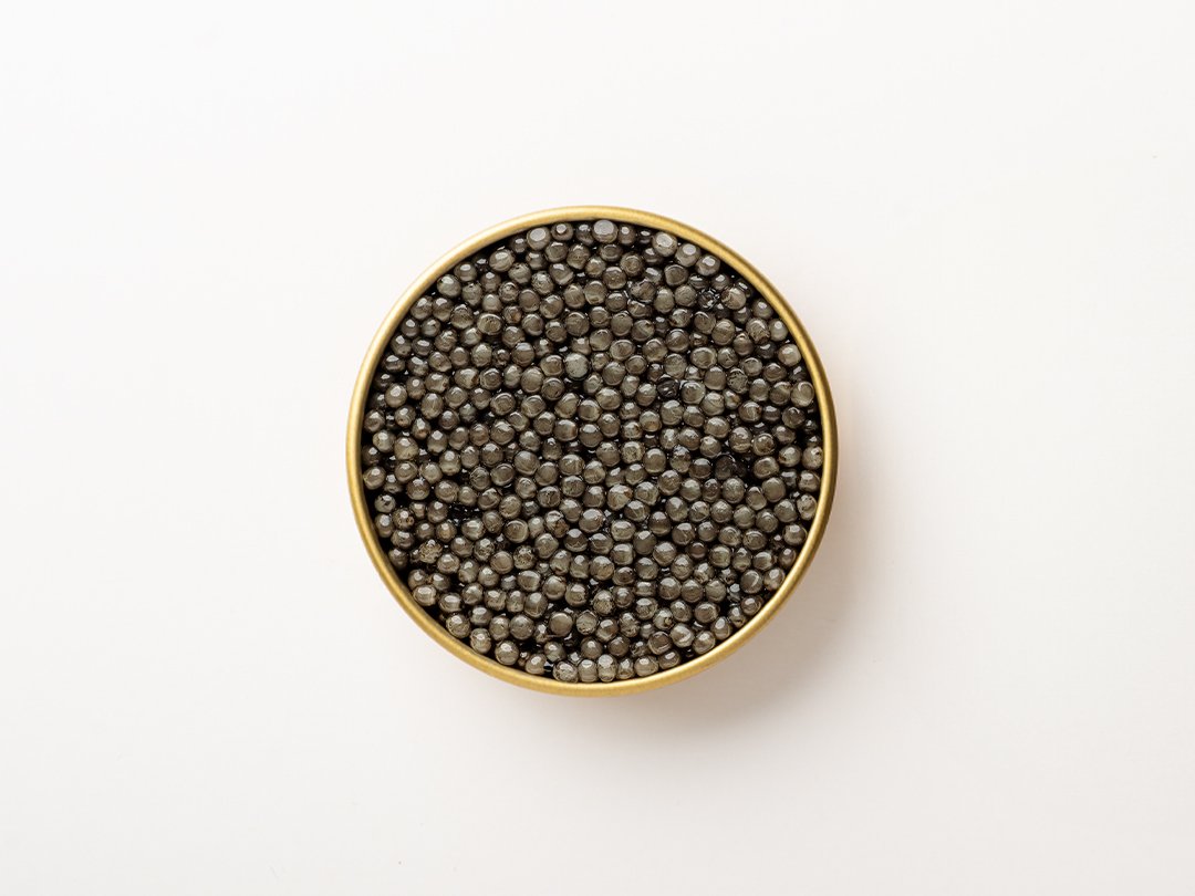 Caspian Beluga Caviar - 50g - Image 3