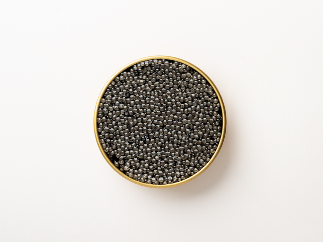 Caspian Sevruga Caviar - 50g - Image 3