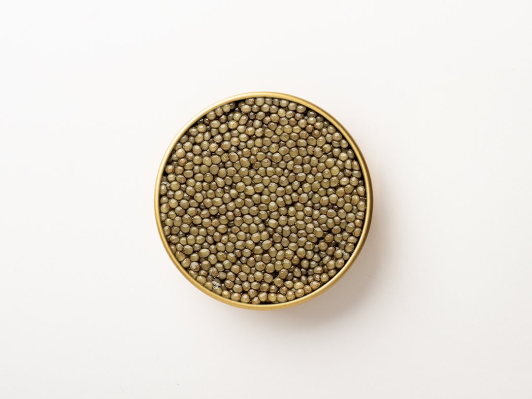 Caspian Shipova Caviar - 50g - Image 3