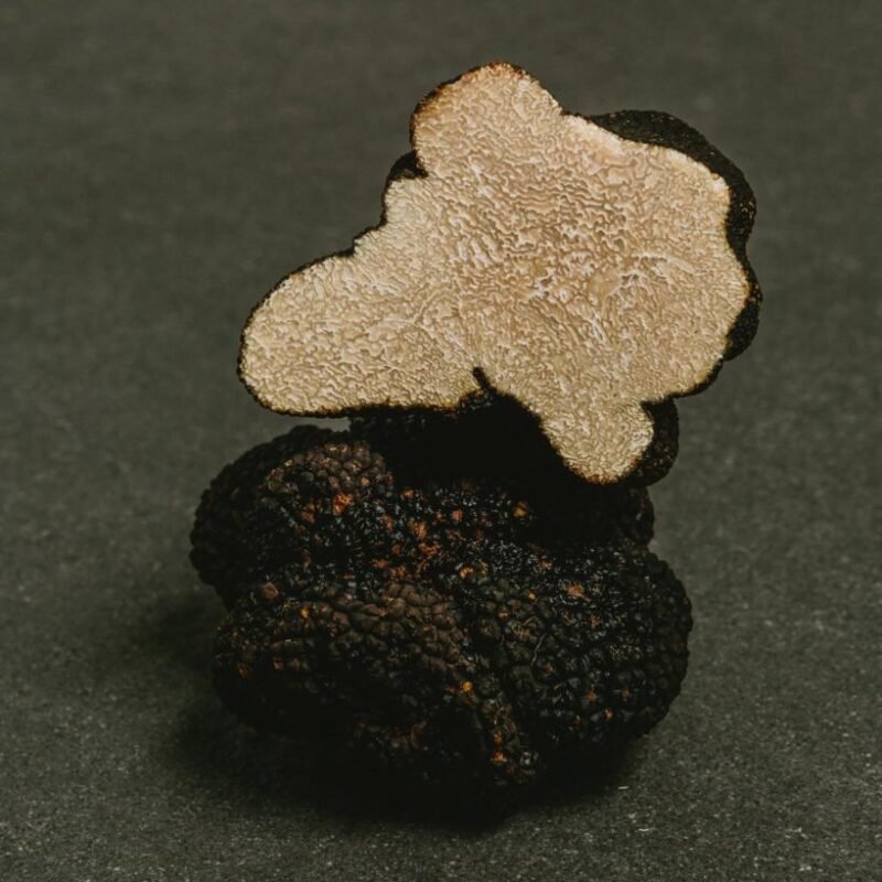 Summer Truffles - Burgundy